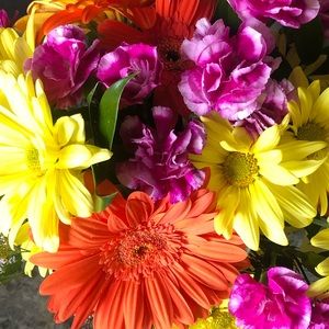 Meet your Posher, Brianna